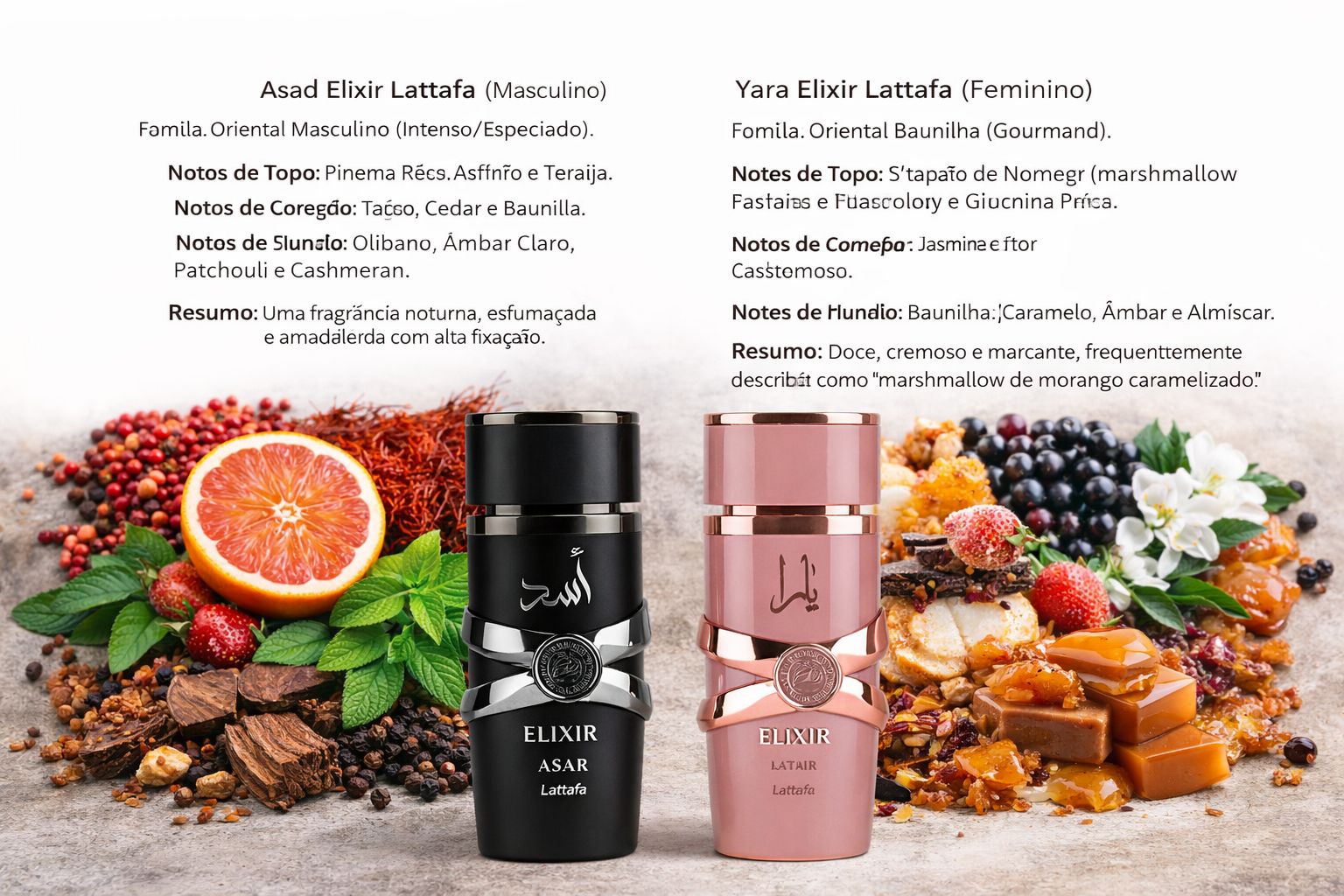 Perfume Collection Showcase 2